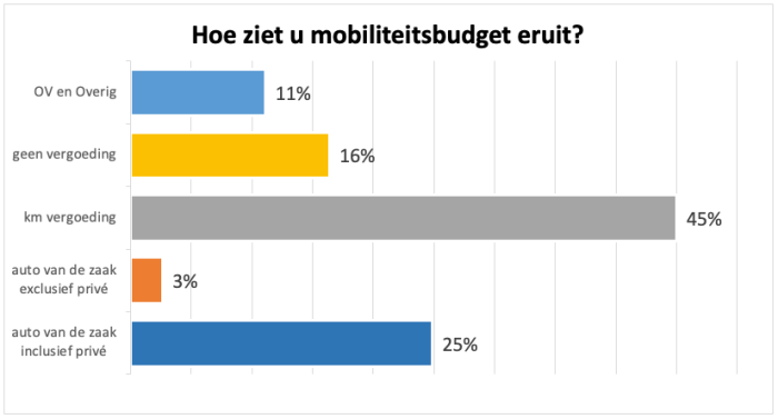 Hoe ziet u mobiliteitsbudget eruit?